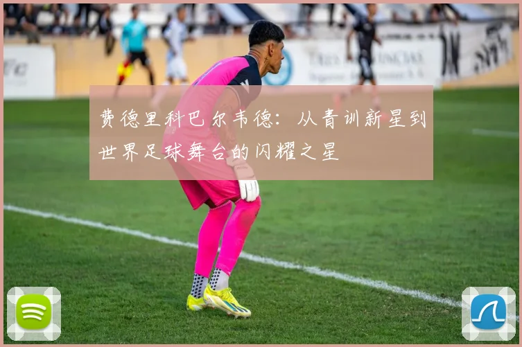 费德里科巴尔韦德：从青训新星到世界足球舞台的闪耀之星