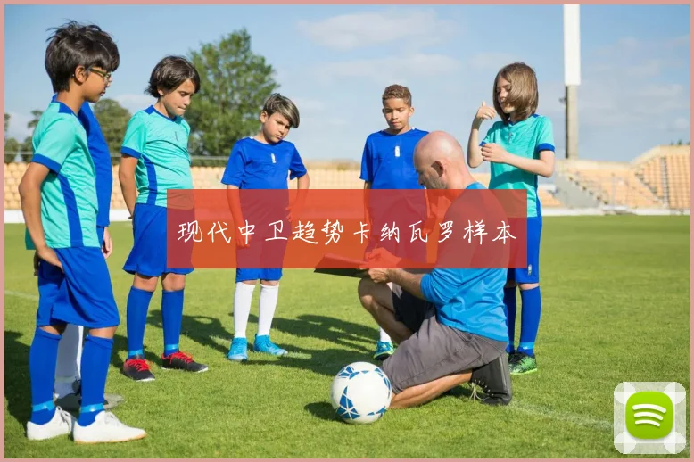 现代中卫趋势卡纳瓦罗样本