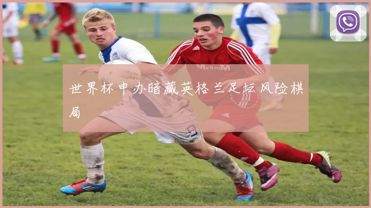 世界杯申办暗藏英格兰足坛风险棋局