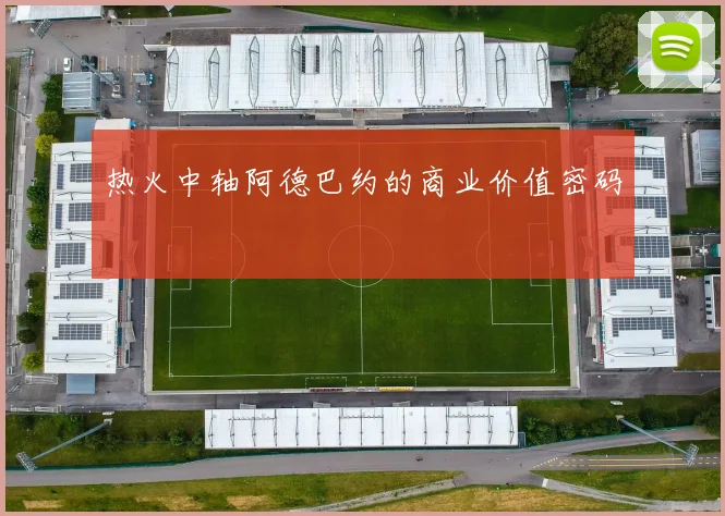 热火中轴阿德巴约的商业价值密码
