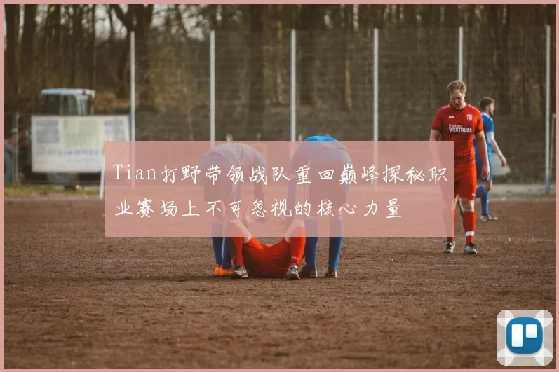 Tian打野带领战队重回巅峰探秘职业赛场上不可忽视的核心力量