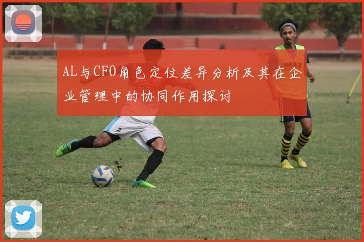 AL与CFO角色定位差异分析及其在企业管理中的协同作用探讨