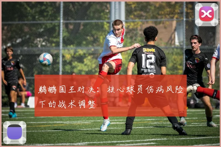 鹈鹕国王对决：核心球员伤病风险下的战术调整